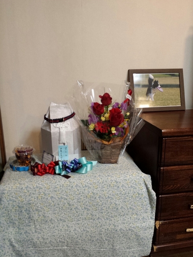 20150227143352977.jpg