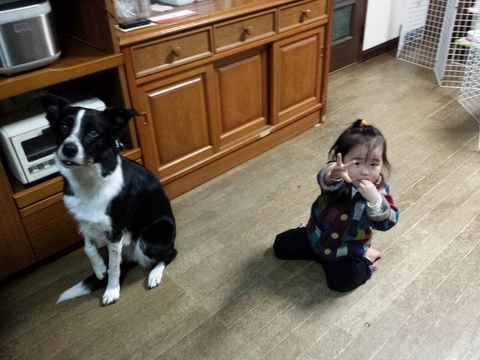 20150227143420038.jpg