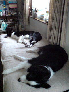 20100717184606.jpg