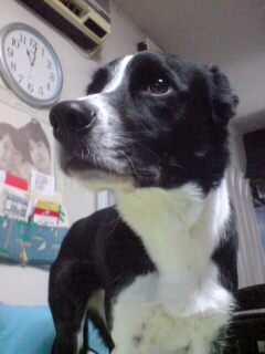 20110218230242.jpg