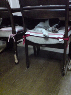 20110117173427.jpg