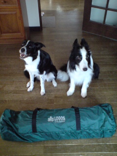 20110621152227.jpg